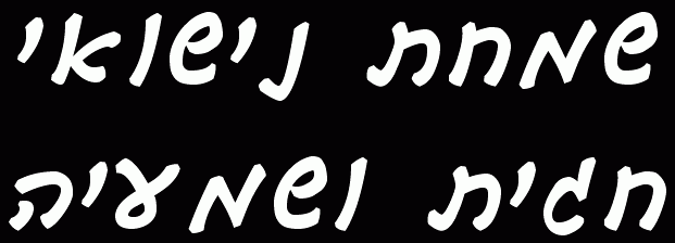 Hagit and Shmaya's Wedding